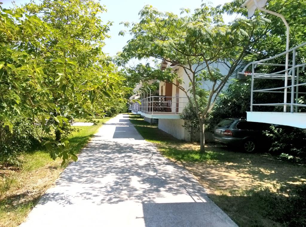 Saint John Apartment Frínion